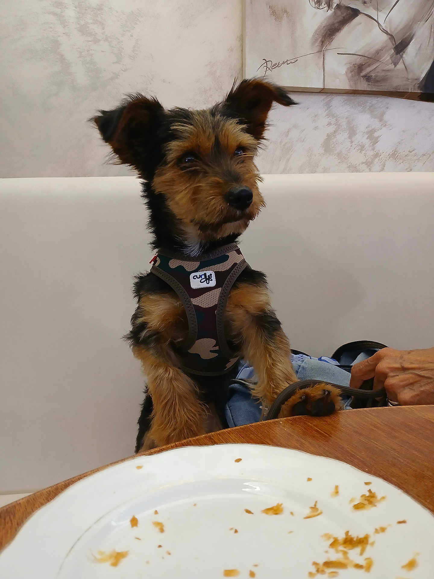Oscar