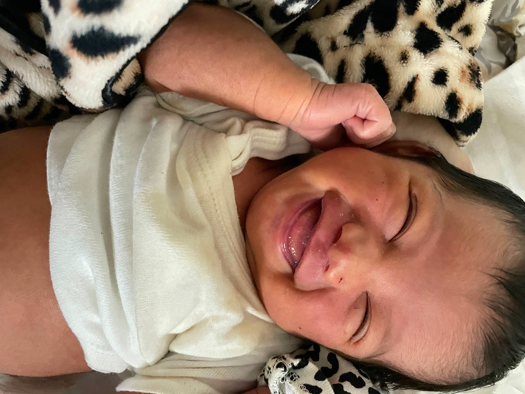 Analea joined the competition — help win amazing prizes! comfort, ear, eye, eyelash, facial_expression, gesture, hand, head, jaw, mammal, mouth, neck, nose, organ, person, skin, sleeve, smile, textile, vertebrate