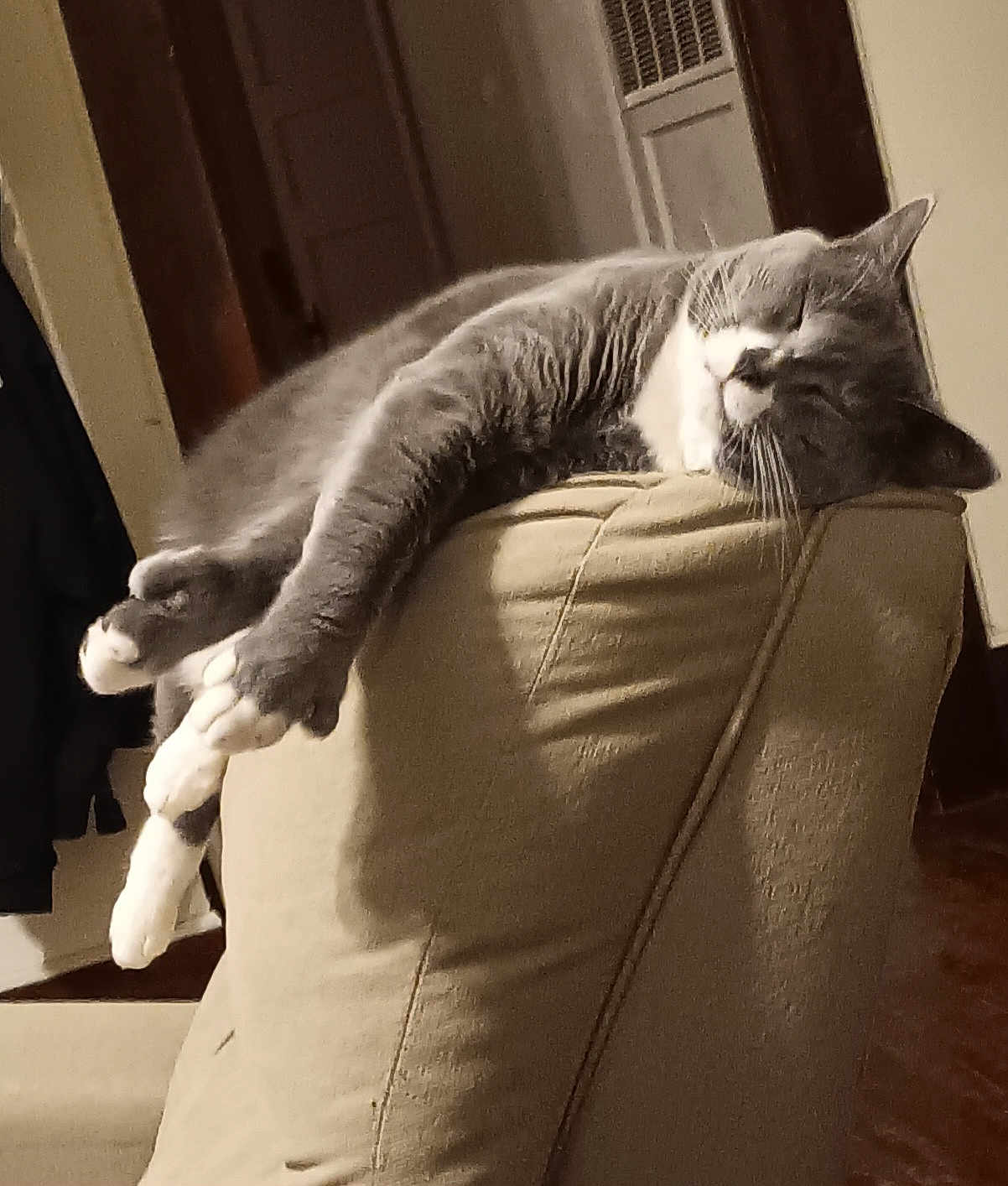 Milo