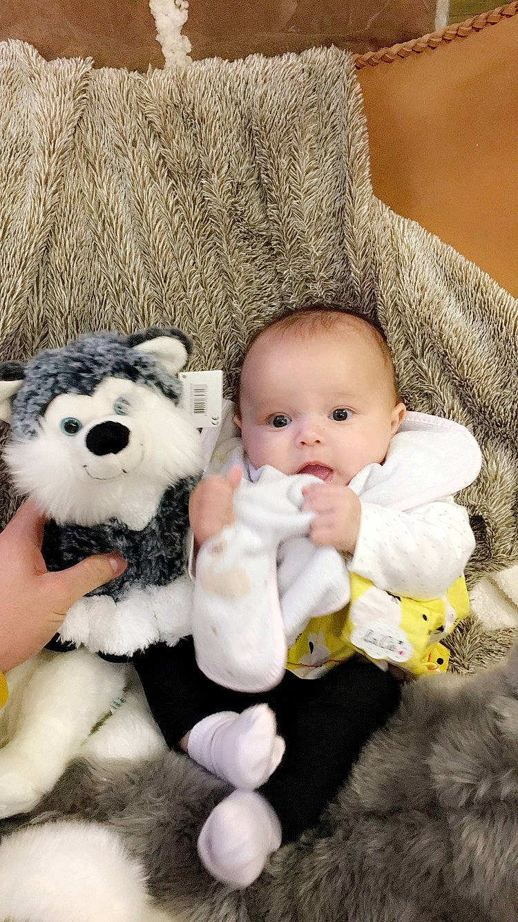 Lizzy a rejoint le concours — aidez-le/la à gagner de superbes lots ! baby, cheek, child, fur, person, skin, smile, stuffed_toy, teddy_bear, toddler, toy