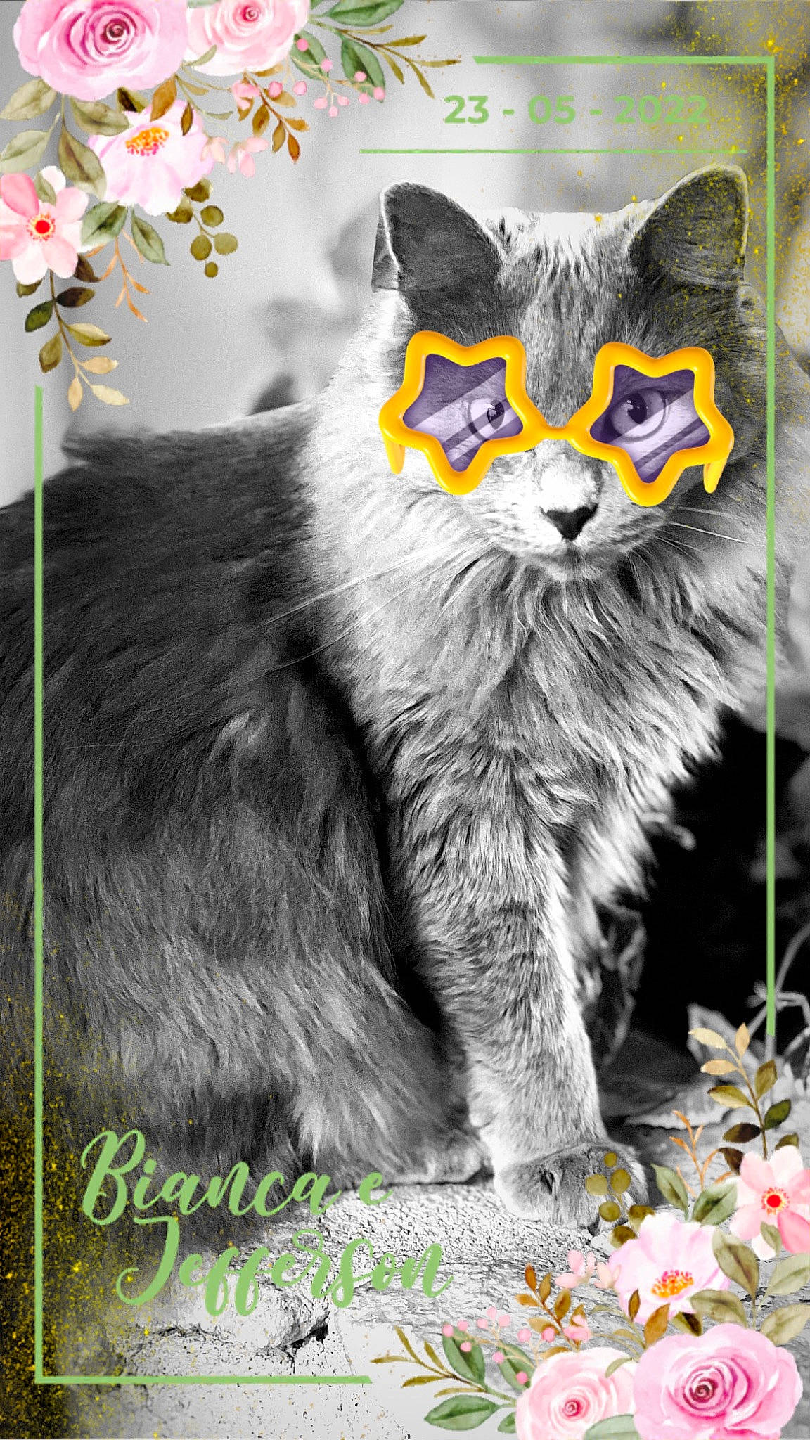 Jennybear is registered to the contest to win money with this photo: art, carnivore, cat, domestic_short_haired_cat, felidae, flower, fur, grass, illustration, nature, organism, painting, photo_caption, plant, small_to_medium_sized_cats, snout, tail, terrestrial_animal, whiskers, window