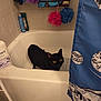 Midnight is registered to the contest to win money with this photo: black_cat, bathtub, bathroom, shower_curtain, bath_products, shower_pouf, yellow_eyes, tile_floor, tile_wall, curious_cat, pet, indoor, animal, cleaning_supplies, personal_care, bathroom_shelf, plastic_bottle, blue, purple, pink