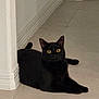 Midnight is registered to the contest to win money with this photo: black_cat, cat, pet, animal, indoor, floor, tile_floor, yellow_eyes, curious, resting, feline, mammal, domestic_animal, corner, wall, quiet, alert, whiskers, ears, paws