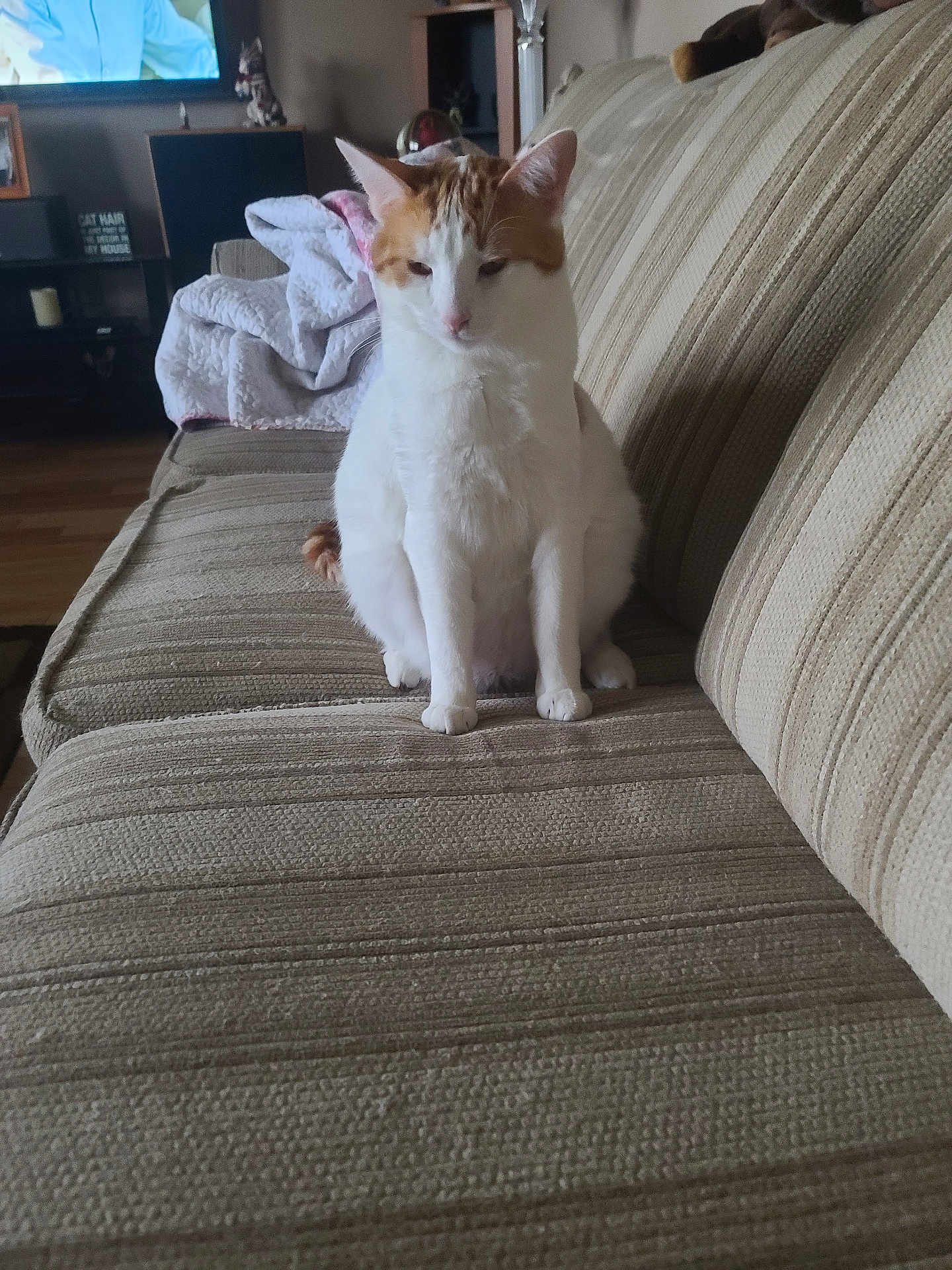 Georgie