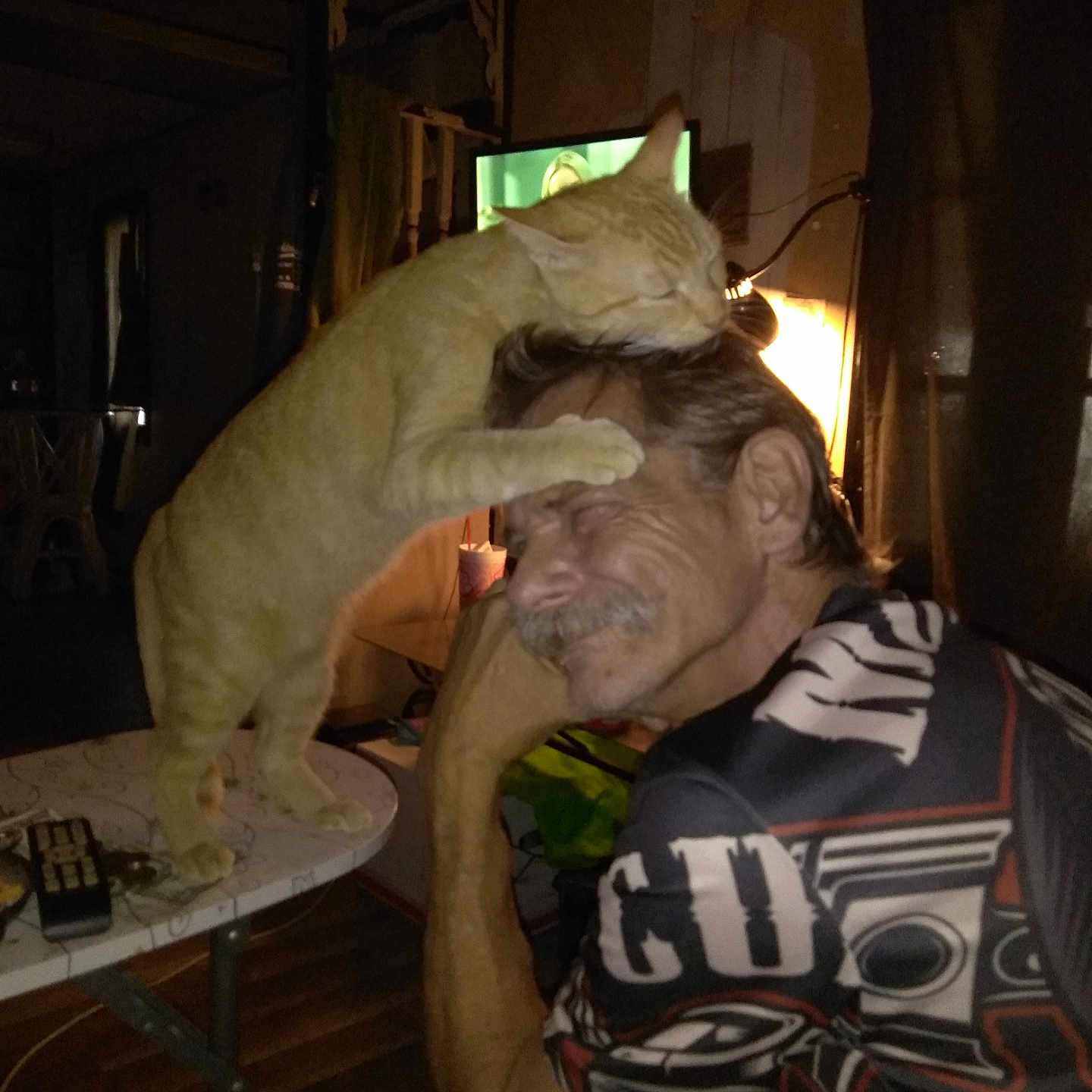 Hugs And Kisses is registered to the contest to win money with this photo: cat, man, indoor, table, television, smiling, affection, pet, feline, facial_hair, mustache, short_sleeve_shirt, patterned_clothing, wooden_floor, lamp, dark_room, relaxed, hand_on_face, domestic_animal, affectionate