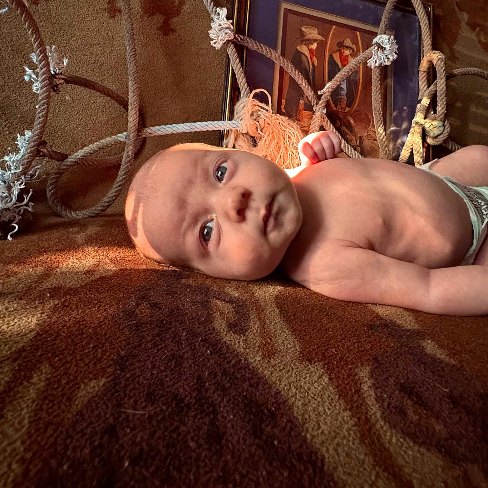 Axle joined the competition — help win amazing prizes! baby, infant, child, portrait, face, eyes, lying_down, blanket, indoor, home, rope, hammock, furniture, framed_picture, warm_lighting, sunlight, diaper, looking_at_camera, cozy, photography