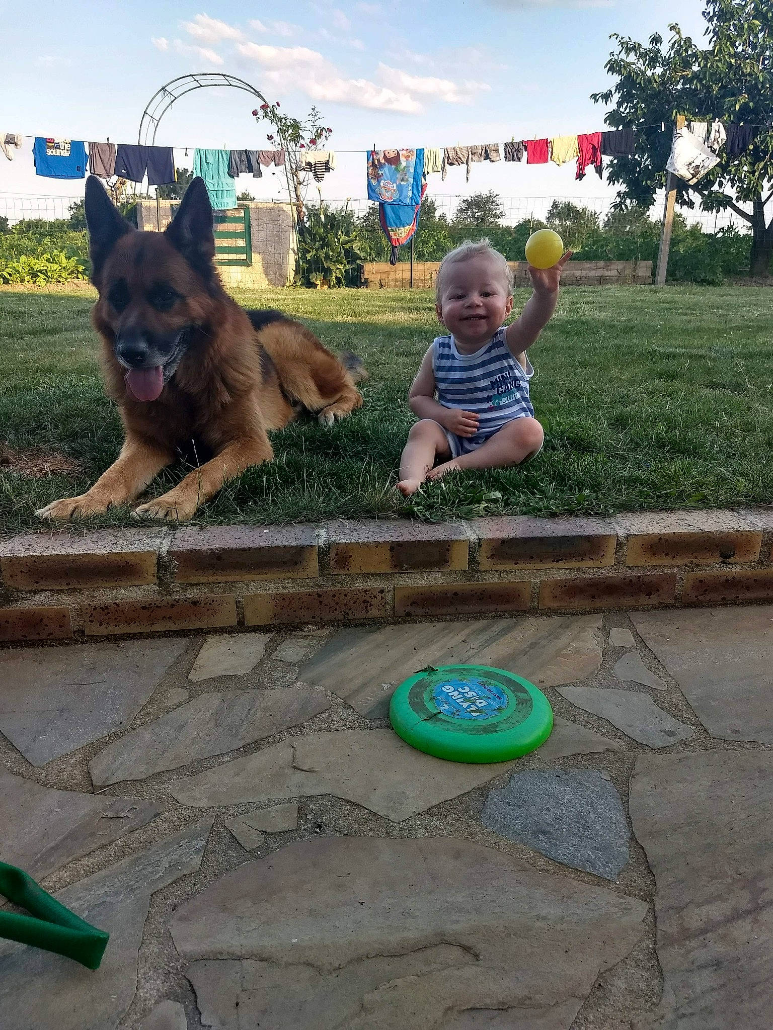 Gibbs participe au concours pour gagner de l'argent avec cette photo : carnivore, companion_dog, dog, dog_breed, fawn, flooring, fun, grass, green, leisure, plant, recreation, road_surface, sky, summer, t_shirt, toddler, tree, wood, working_animal