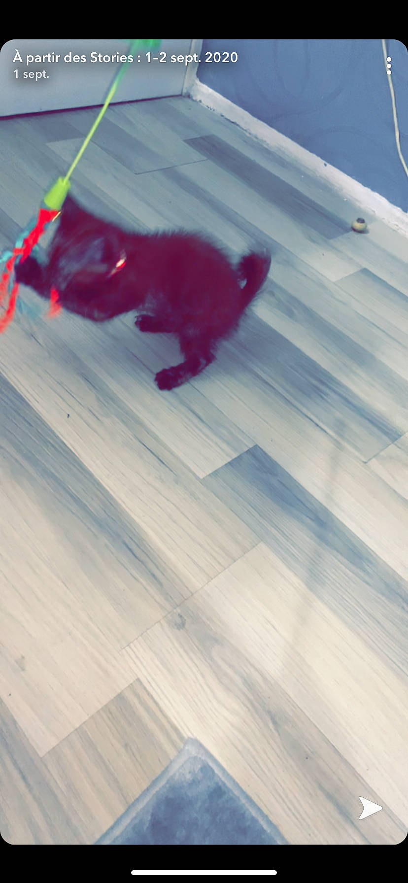 Cerise a rejoint le concours — aidez-le/la à gagner de superbes lots ! floor, flooring, hardwood, laminate_flooring, red, shadow, wood