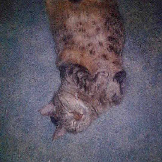 Derby joined the competition — help win amazing prizes!