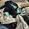 animal, bed, bedroom, black_cat, blanket, cat, clothes, clothing, ears, fabric, face, feline, green_eyes, indoors, laundry, messy, pet, portrait, whiskers, window