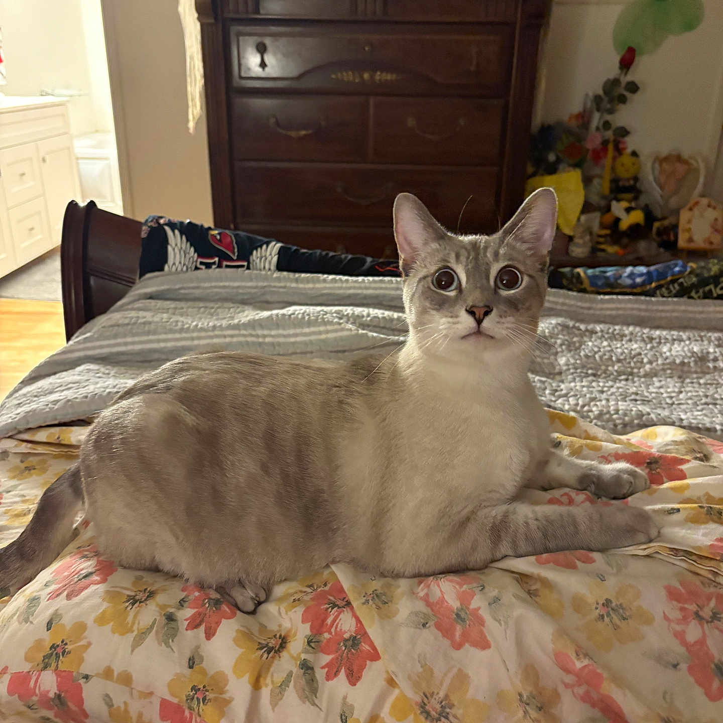 Casper