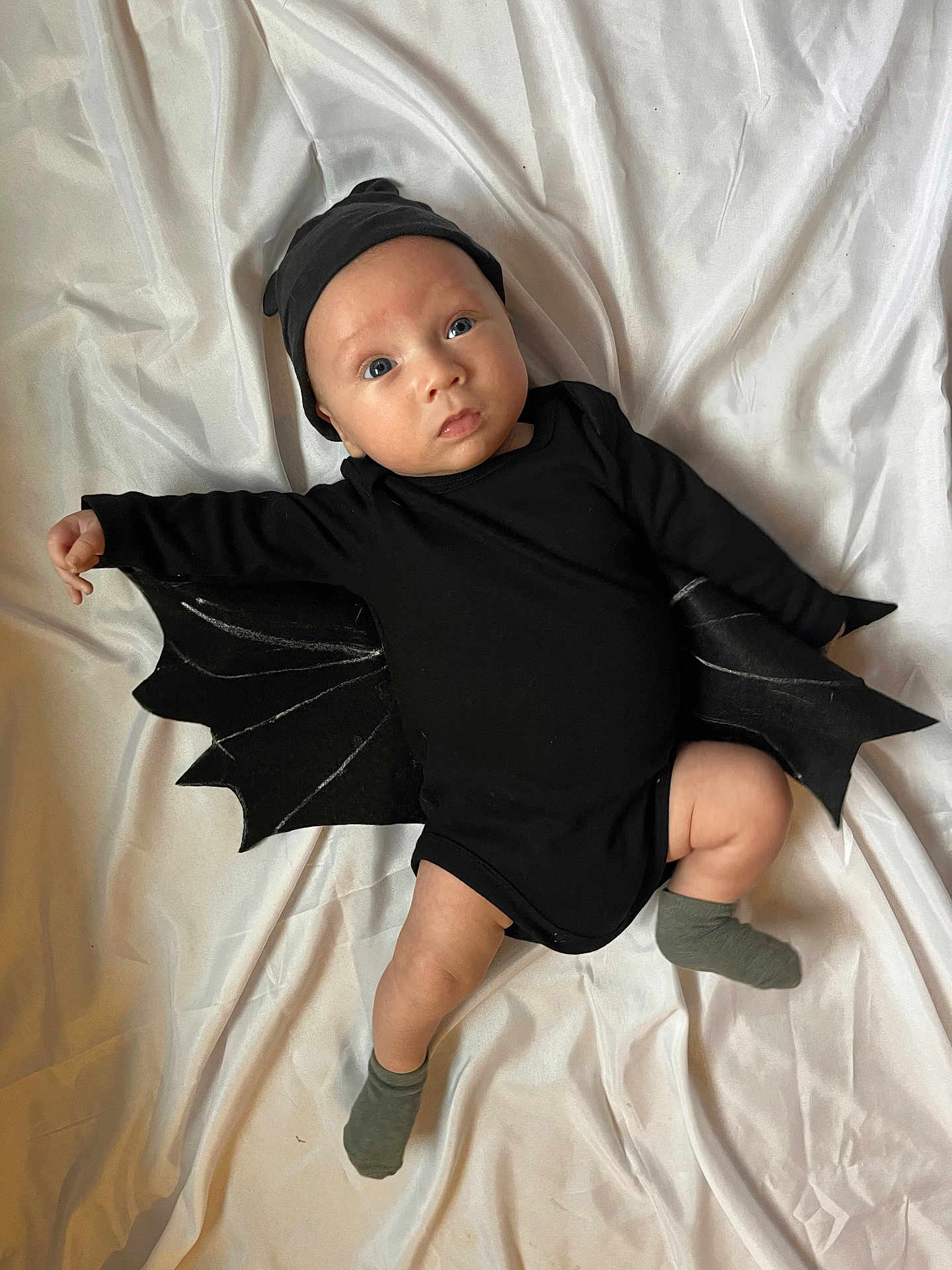 Landry joined the competition — help win amazing prizes! baby, infant, costume, bat_wings, black_clothing, hat, lying_down, white_background, cute, adorable, child, portrait, sock, one_person, indoors, fabric, expression, looking_up, small_child, soft_lighting
