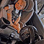 Ty joined the competition — help win amazing prizes! toddler, child, car_seat, car_interior, seatbelt, fan, window, clothing, baby, safety, transportation, seat, foot, hair, face, person, vehicle, looking, indoor, restraint