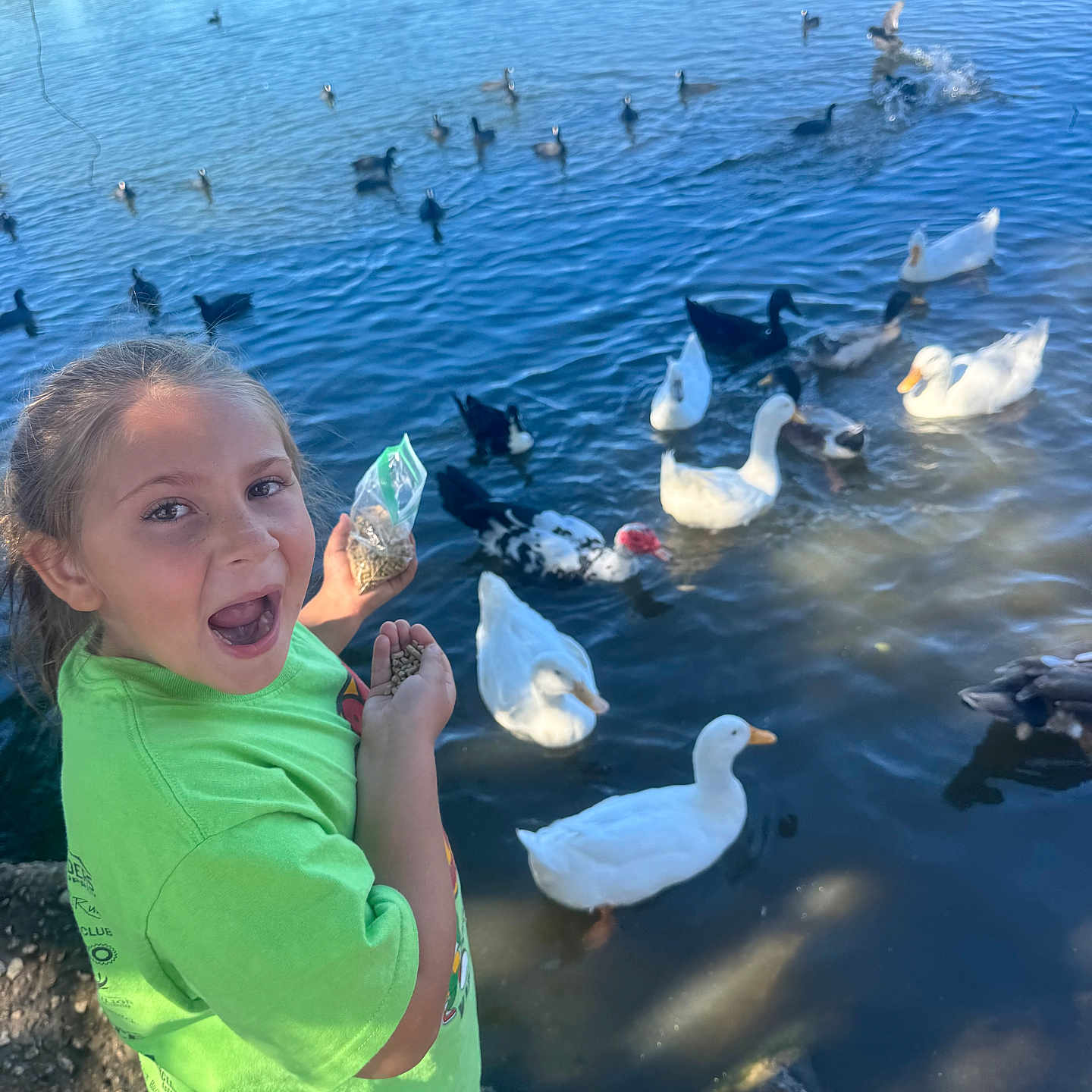 Jenna is registered to the contest to win money with this photo: animal, beak, bird, child, duck, face, female, girl, goose, head, lake, nature, outdoors, person, photography, pond, portrait, water, waterfowl, waterfront
