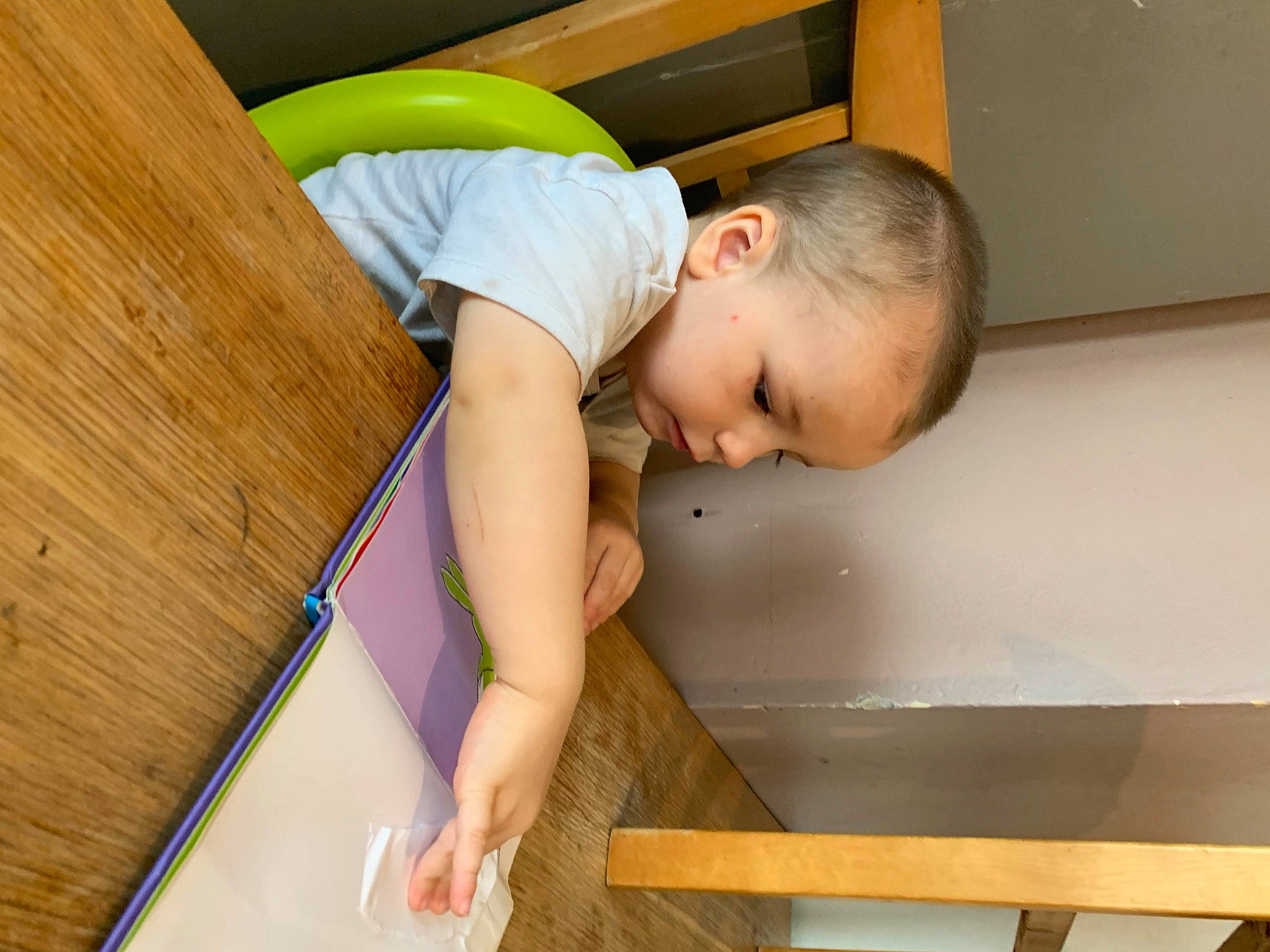 Riley joined the competition — help win amazing prizes! child, person, wood