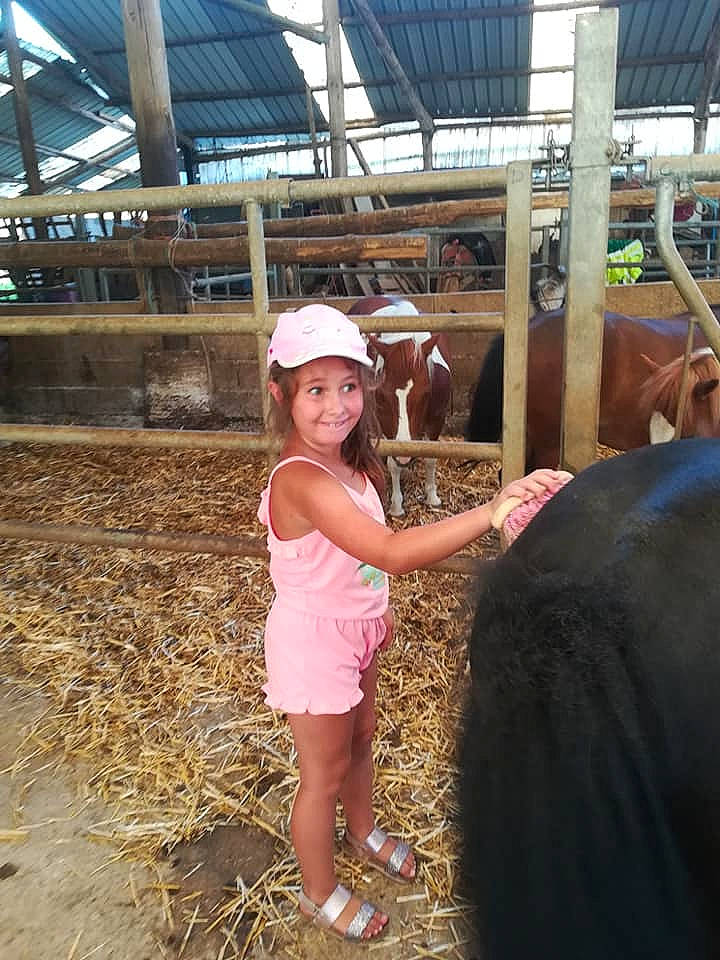 Tina a rejoint le concours — aidez-le/la à gagner de superbes lots ! bovine, dairy, dairy_cow, headwear, joy, livestock, person, stable, working_animal