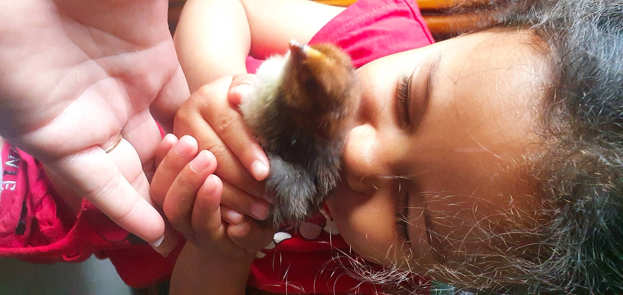 Mayana a rejoint le concours — aidez-le/la à gagner de superbes lots ! beard, ear, eyebrow, eyelash, fawn, felidae, finger, gesture, hand, happy, human, mouth, nail, neck, nose, person, skin, small_to_medium_sized_cats, snout, thumb