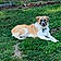 Shiloh