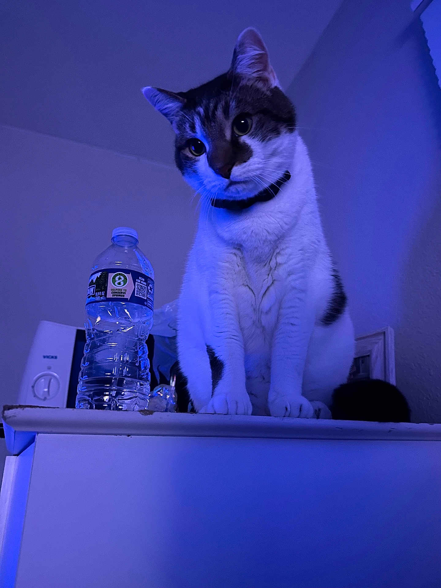 Charlie