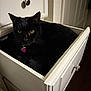 black_cat, cat, drawer, furniture, yellow_eyes, indoor, pet, curious, relaxed, collar, metal_knob, white_drawer, cabinet, dark_fur, domestic_cat, household, wooden_floor, closeup, animal, resting