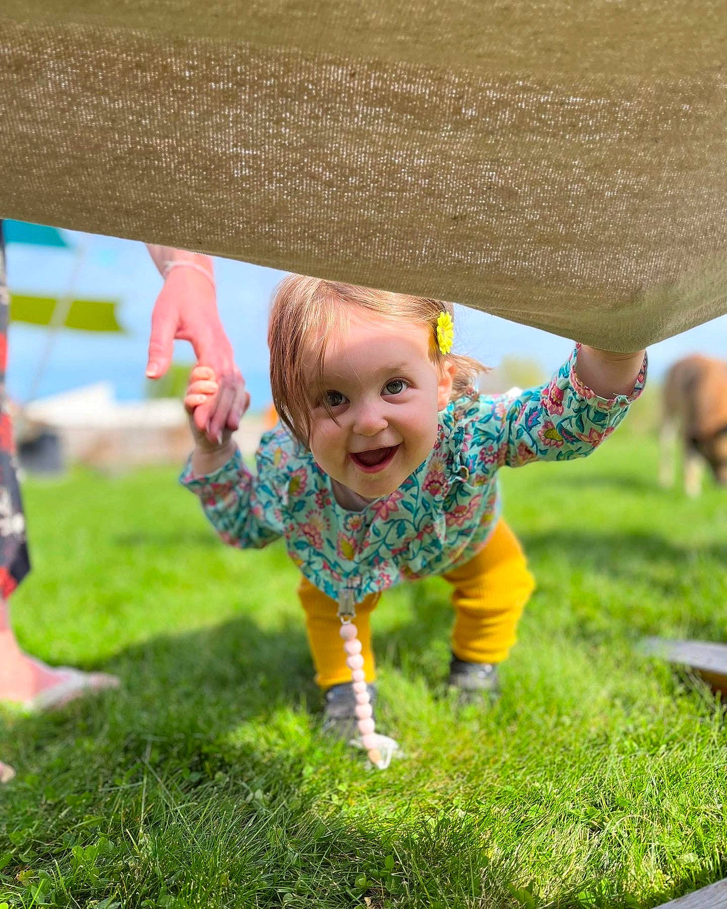 Irina participe au concours pour gagner de l'argent avec cette photo : baby, baby_toddler_clothing, child, finger, fun, gesture, grass, grass_family, green, happy, joy, lawn, leaf, leisure, nature, people_in_nature, person, playground, recreation, smile