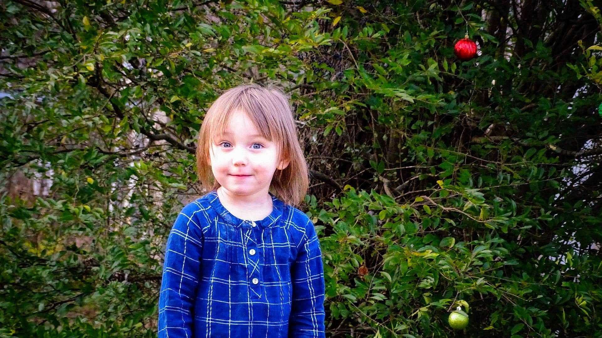 Rileyann is registered to the contest to win money with this photo: apple, botany, child, design, flower, fruit, fun, grass, joy, pattern, people, people_in_nature, person, photography, plaid, plant, portrait, rose_family, spring, textile