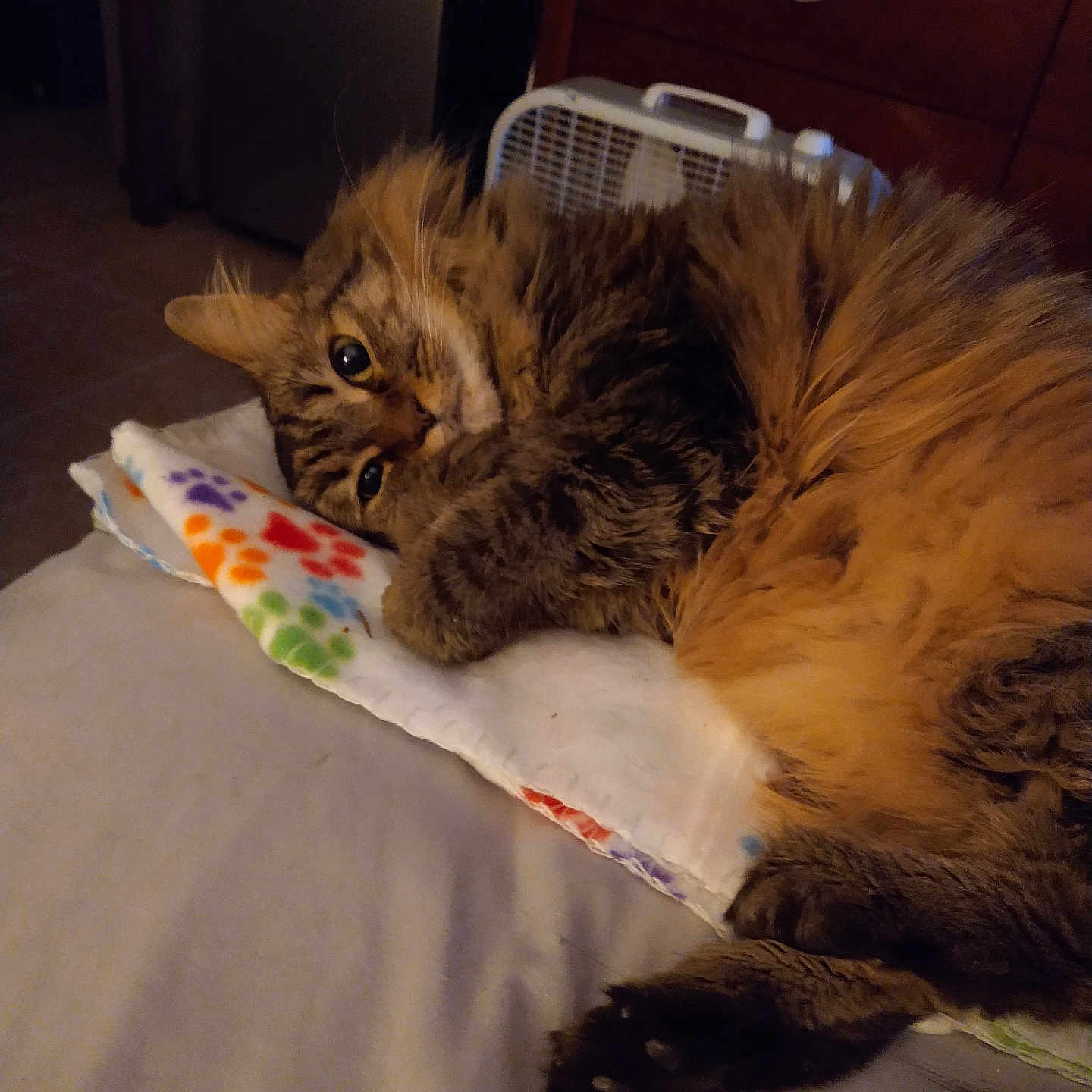 Chloe