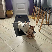 Snow participe au concours pour gagner de l'argent avec cette photo : dog, stuffed_toy, giraffe, indoor, floor_tile, door, mat, bar_stool, basket, home_interior, animal, pet, white_dog, toy, furniture, light, shadow, relaxing, cozy, kitchen