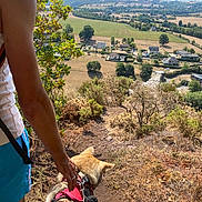 Hadès participe au concours pour gagner de l'argent avec cette photo : person, dog, leash, harness, outdoor, nature, landscape, field, tree, grass, hill, path, sky, cloud, rural, summer, walking, animal, human, scenery