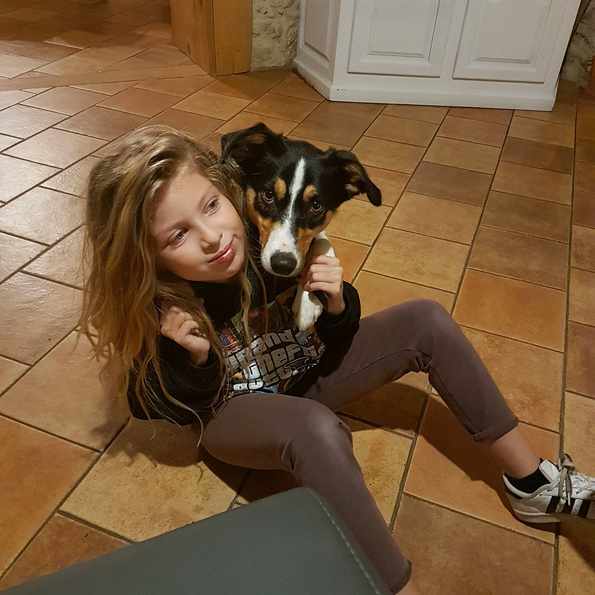 Jessie a rejoint le concours — aidez-le/la à gagner de superbes lots ! dog, dog_breed, dog_like_mammal, flooring, fun, girl, person, snout