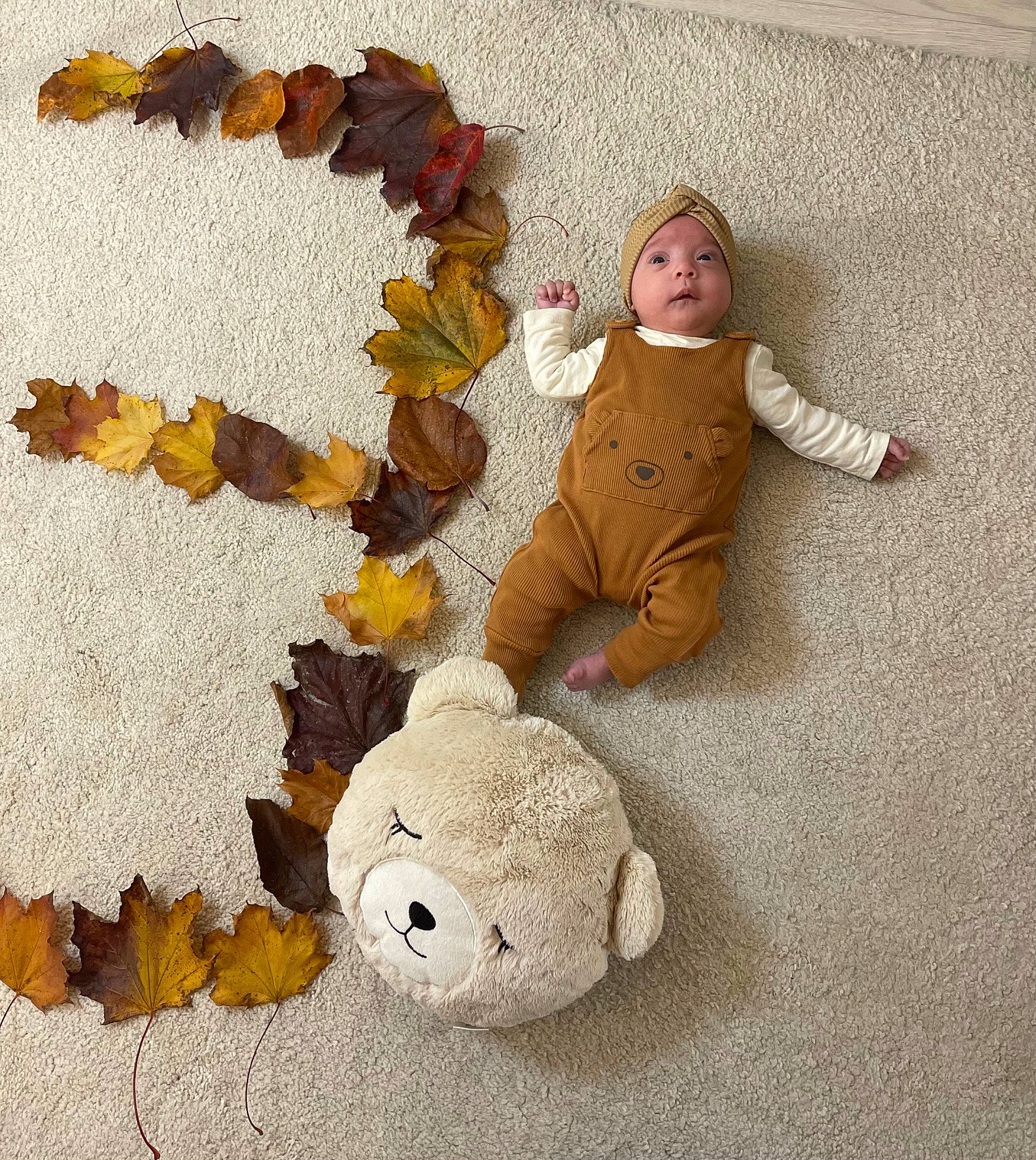 Hana a rejoint le concours — aidez-le/la à gagner de superbes lots ! art, baby_toys, deciduous, fawn, flooring, font, fur, happy, headwear, metal, paw, person, petal, plush, puzzle, room, still_life_photography, stuffed_toy, teddy_bear, textile