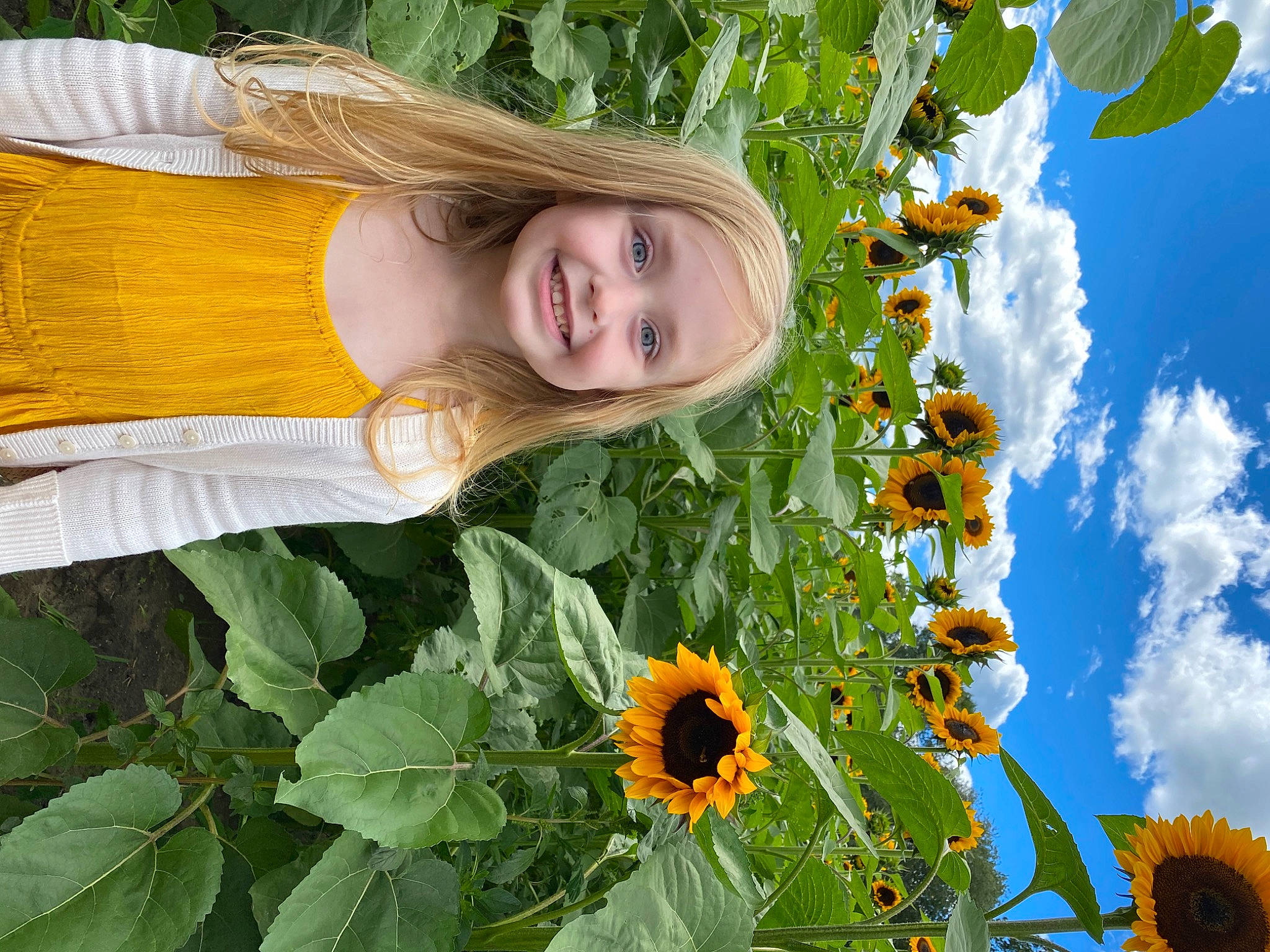 Finley joined the competition — help win amazing prizes! daisy_family, field, flower, flowering_plant, happy, joy, leaf, people_in_nature, person, photography, plant, pollen, sky, smile, spring, summer, sunflower, vegetarian_food, wildflower, yellow