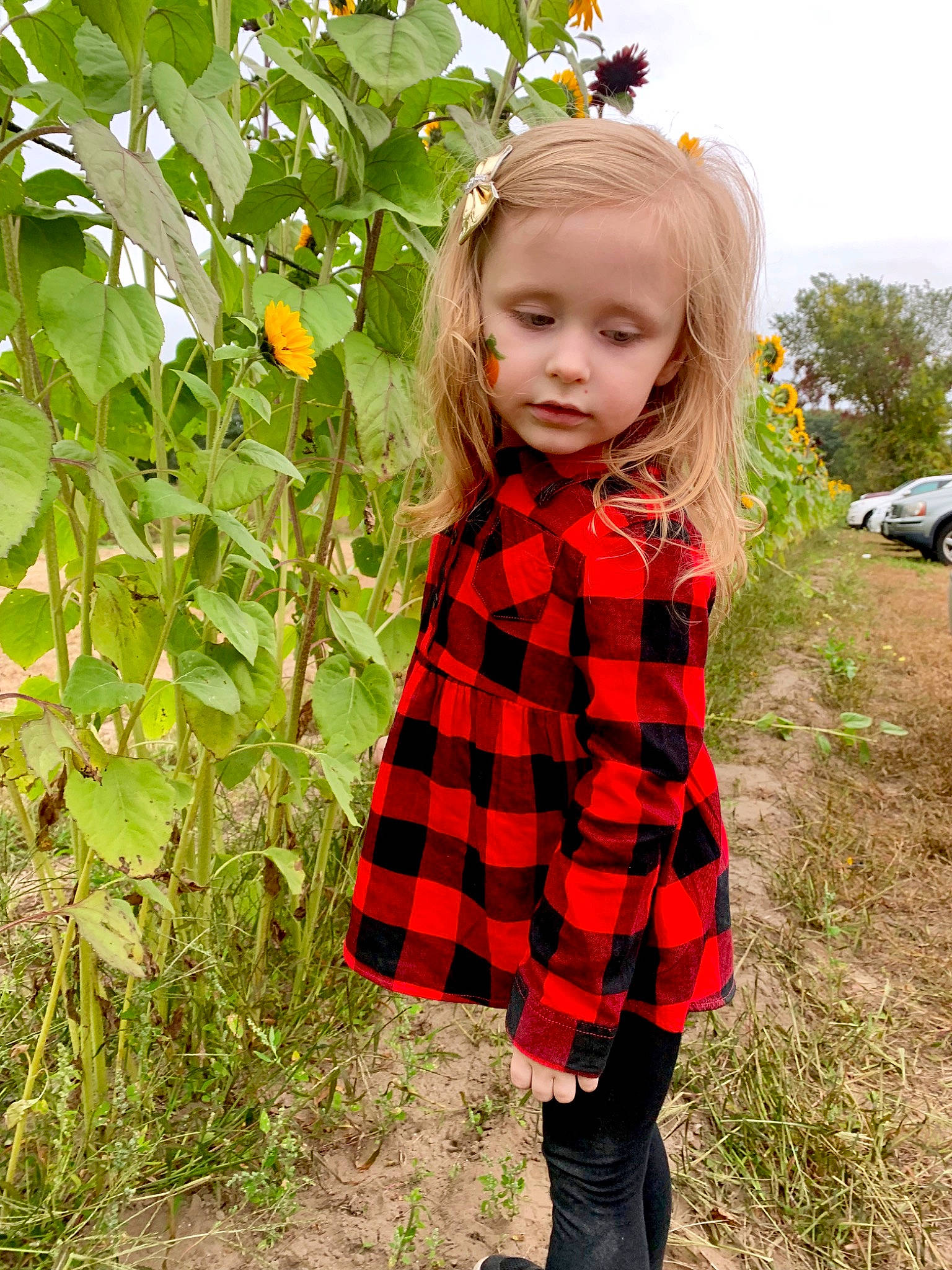 Finley joined the competition — help win amazing prizes! blond, child, child_model, clothing, design, dress, grass, leaf, long_hair, outerwear, pattern, person, plaid, plant, red, sleeve, tartan, textile, toddler, tree