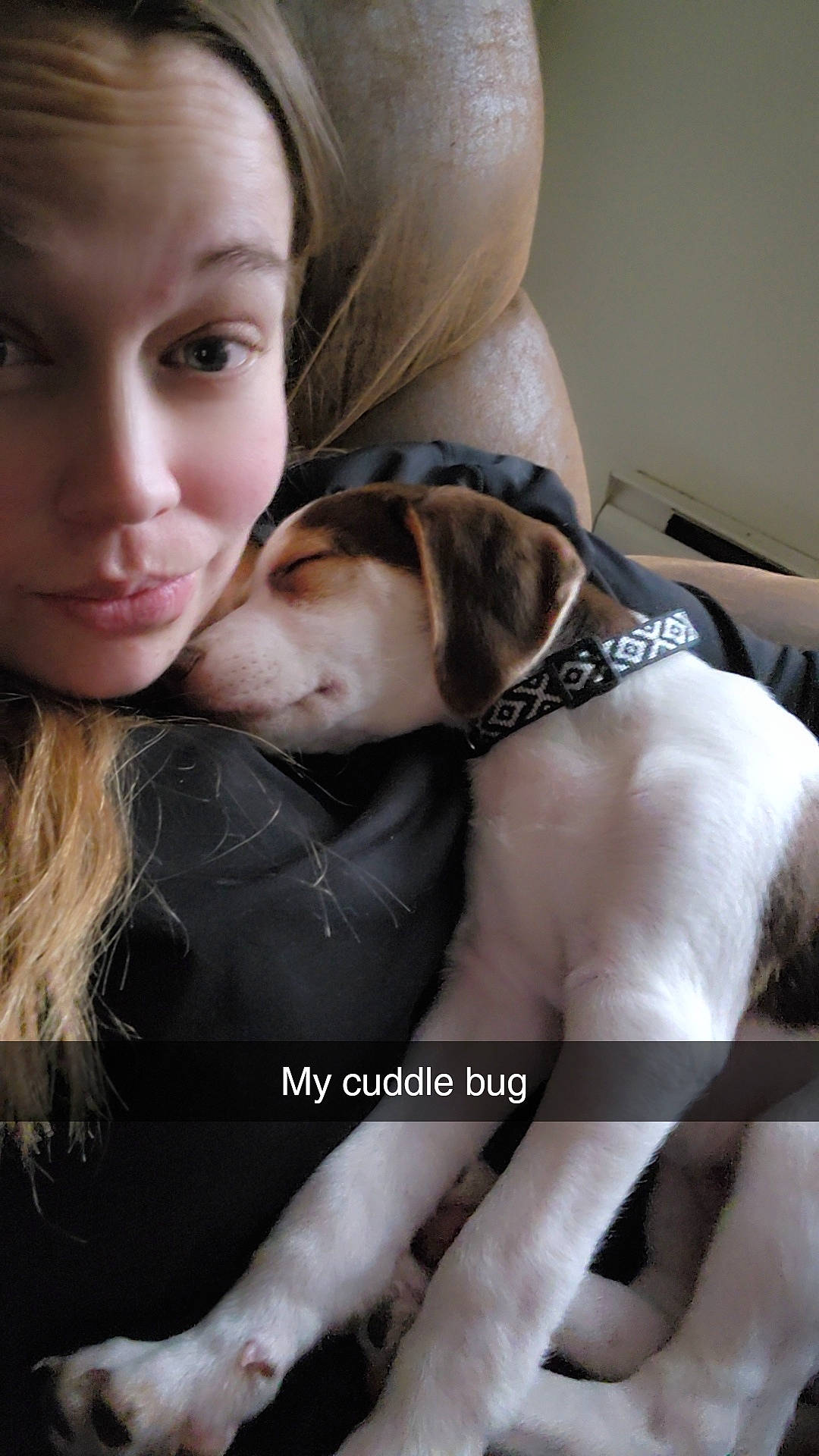 Ollie is registered to the contest to win money with this photo: brown_hair, carnivore, comfort, companion_dog, dog, dog_breed, ear, eye, eyelash, fawn, flash_photography, fur, gesture, happy, jaw, selfie, smile, snout, sporting_group, whiskers