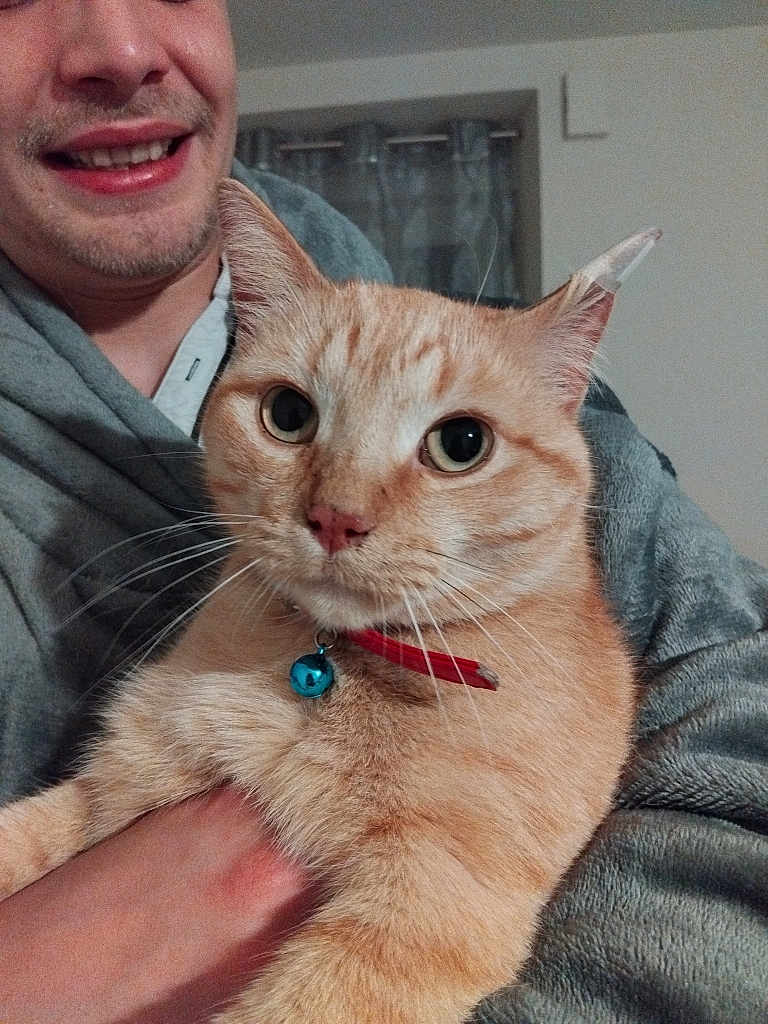 Simba