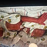 Nova Lynn is registered to the contest to win money with this photo: newborn, baby, infant, hospital, incubator, blanket, medical_tube, clothing, sleeping, fragile, cute, pattern, wrapped, premature, care, healthcare, person, bed, hand, face