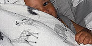 Julien joined the competition — help win amazing prizes! toddler, blanket, car_seat, child, face, hand, curly_hair, soft_toy, gray, white, animal_print, peeking, comfort, indoor, cute, portrait, baby, clothing, seat_belt, hand_grip