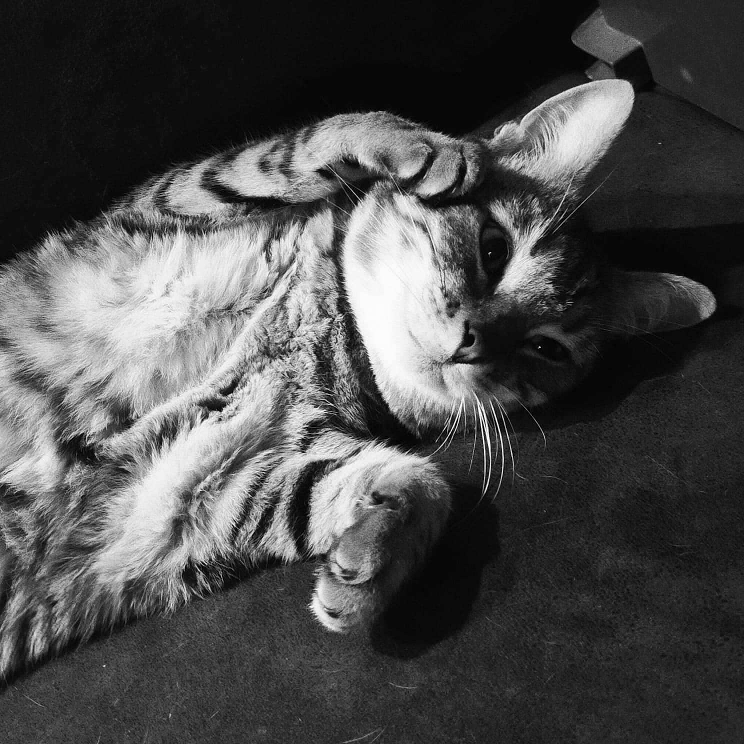 Venus