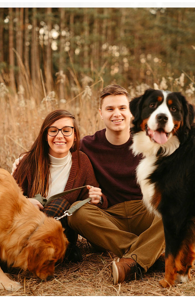 Atlas is registered to the contest to win money with this photo: bernese_mountain_dog, brown_hair, canidae, carnivore, companion_dog, dog, dog_breed, fawn, friendship, fur, happy, herding_dog, human, liver, love, mammal, people_in_nature, smile, sporting_group, vertebrate