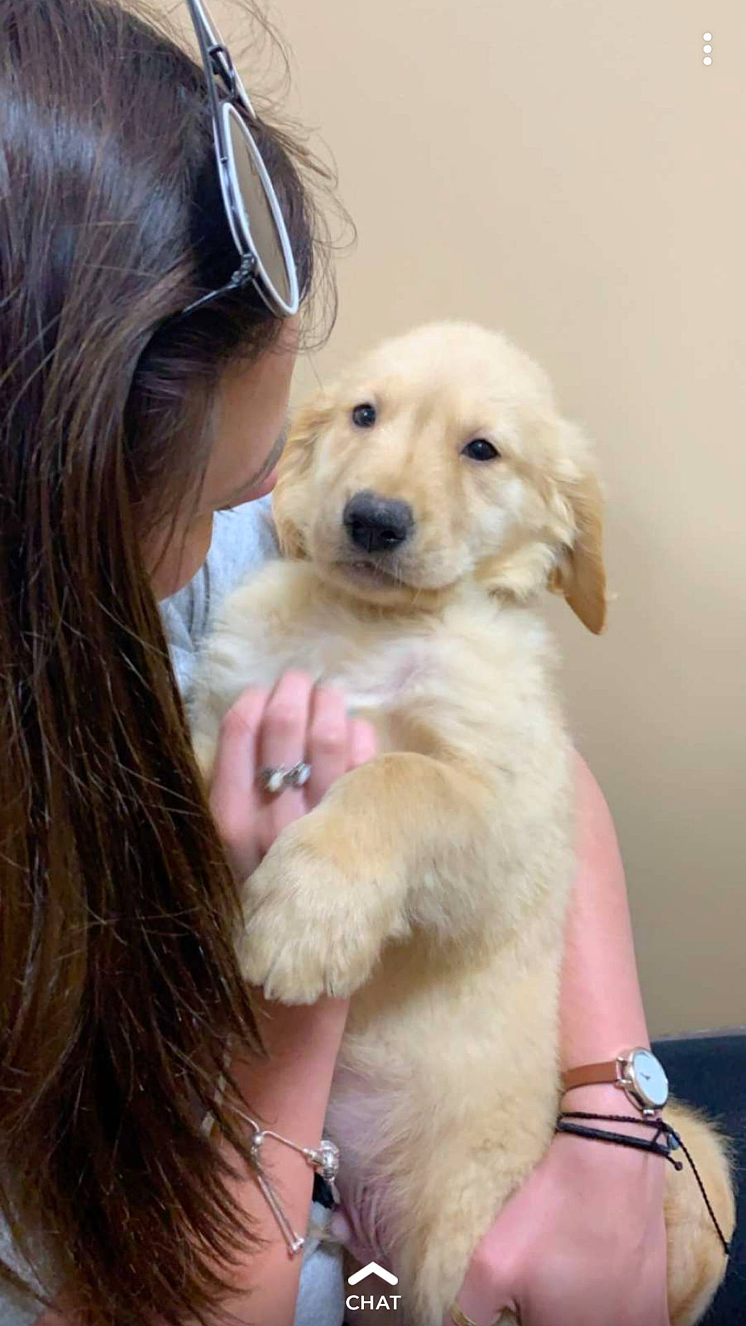 Tucker joined the competition — help win amazing prizes! blond, bracelet, brown_hair, canidae, carnivore, companion_dog, dog, dog_breed, fashion_accessory, fawn, fur, goggles, human, love, mammal, puppy, skin, snout, sunglasses, wrist