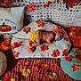 Zayla joined the competition — help win amazing prizes! baby, infant, sleeping, blanket, pumpkin, fall, autumn, leaves, orange, hat, socks, pacifier, plush, decor, cozy, cute, child, soft, rest, seasonal