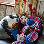 animal, cat, colorful, couch, cozy, curtains, cute, domestic, floral_pattern, furniture, indoor, patchwork, pet, playful, plush_toy, relaxing, resting, soft_toys, teddy_bear, window