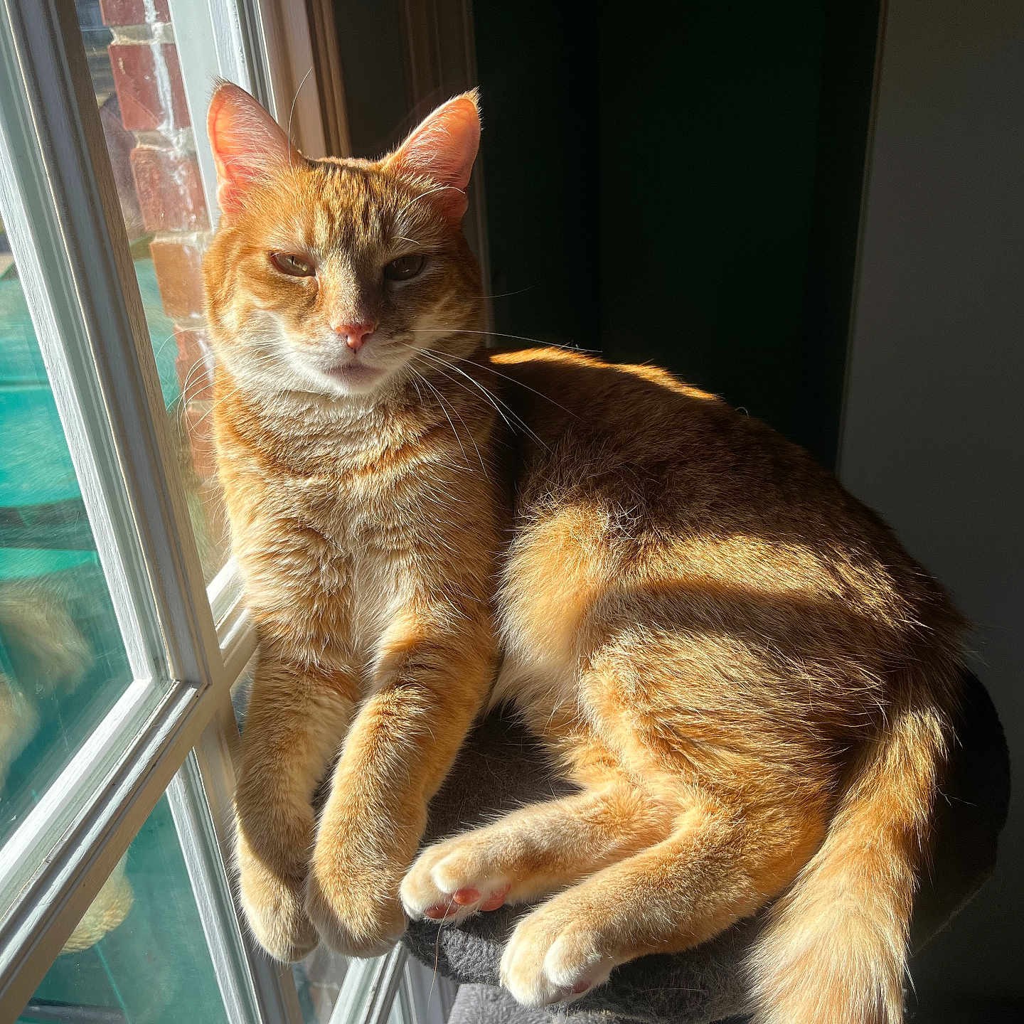 Roscoe