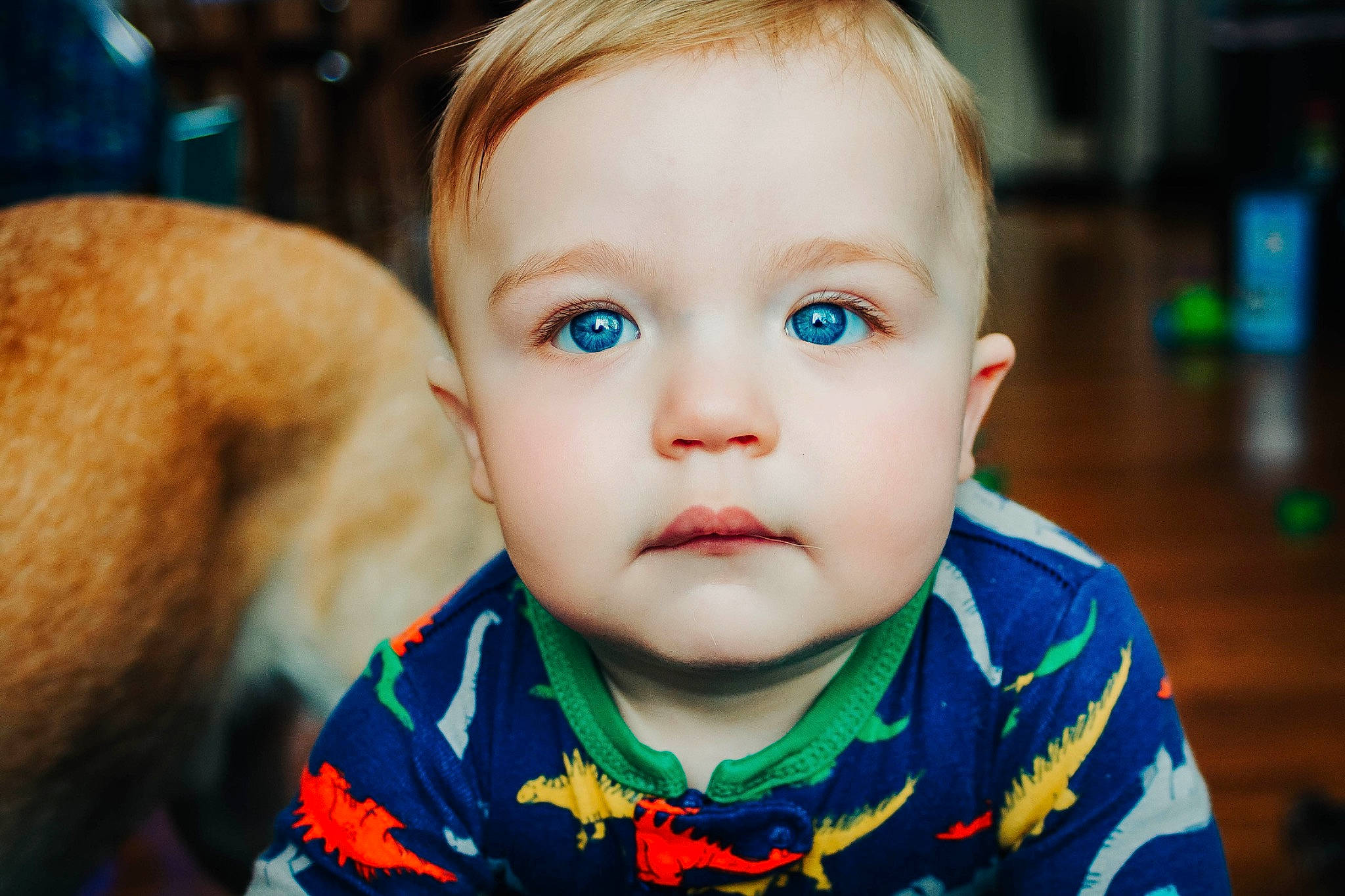 Jameson joined the competition — help win amazing prizes! baby, baby_toddler_clothing, cheek, child, clothing, eyelash, face, flash_photography, happy, head, human, iris, lip, mammal, nose, organ, person, skin, smile, toddler