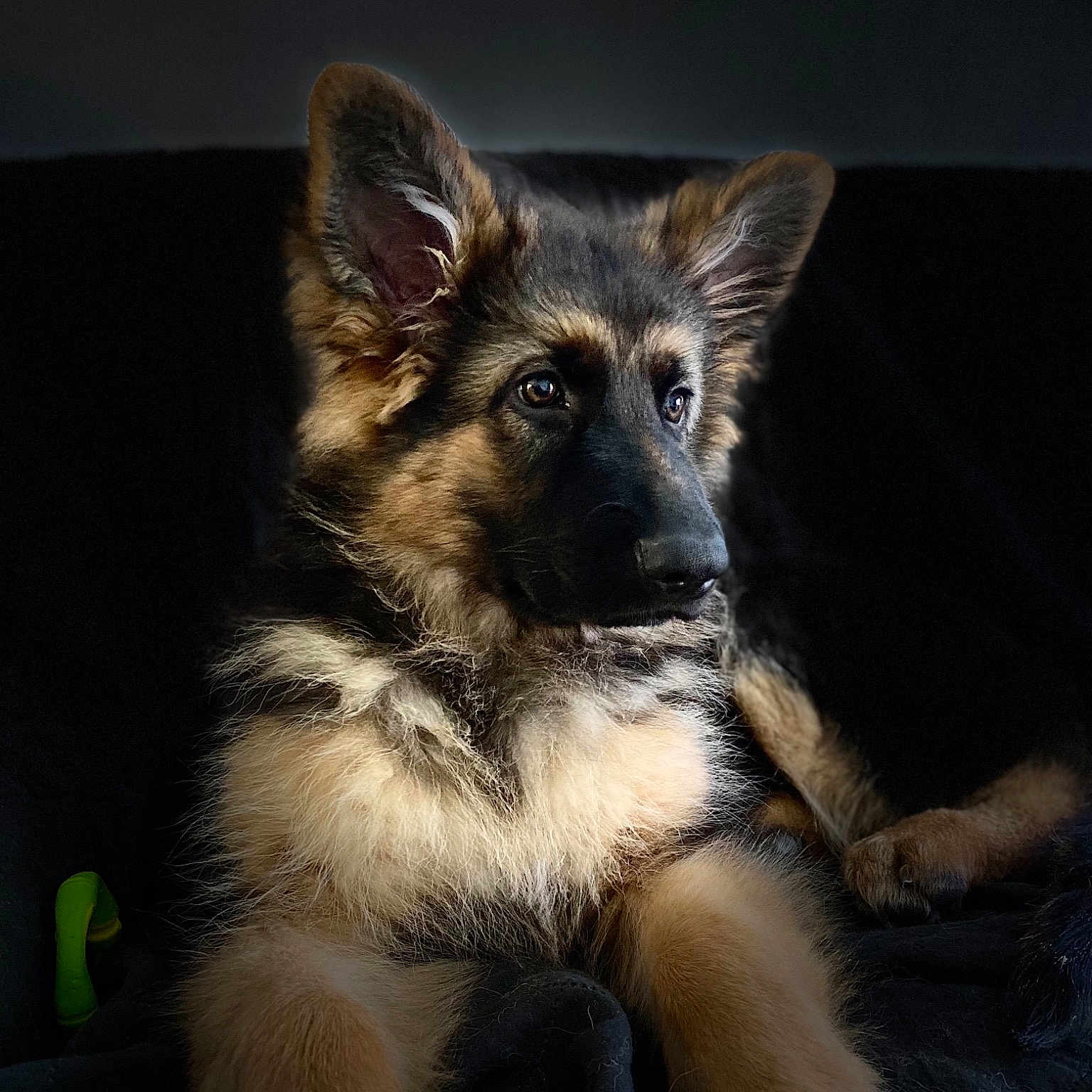 Sybelle