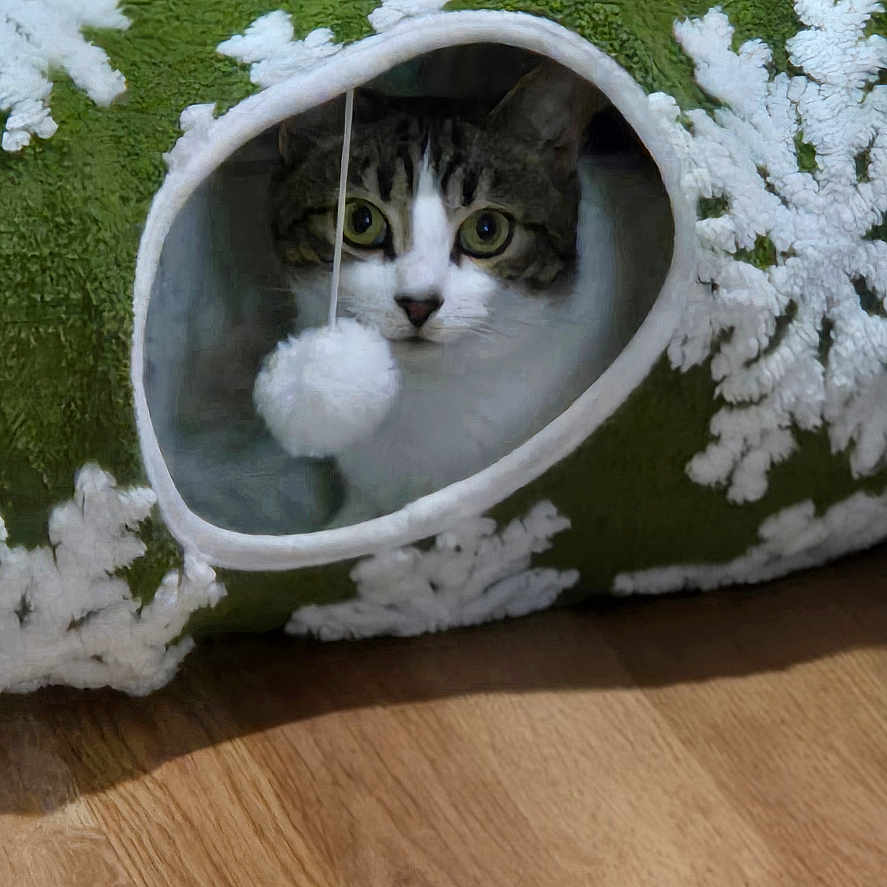 Lightning