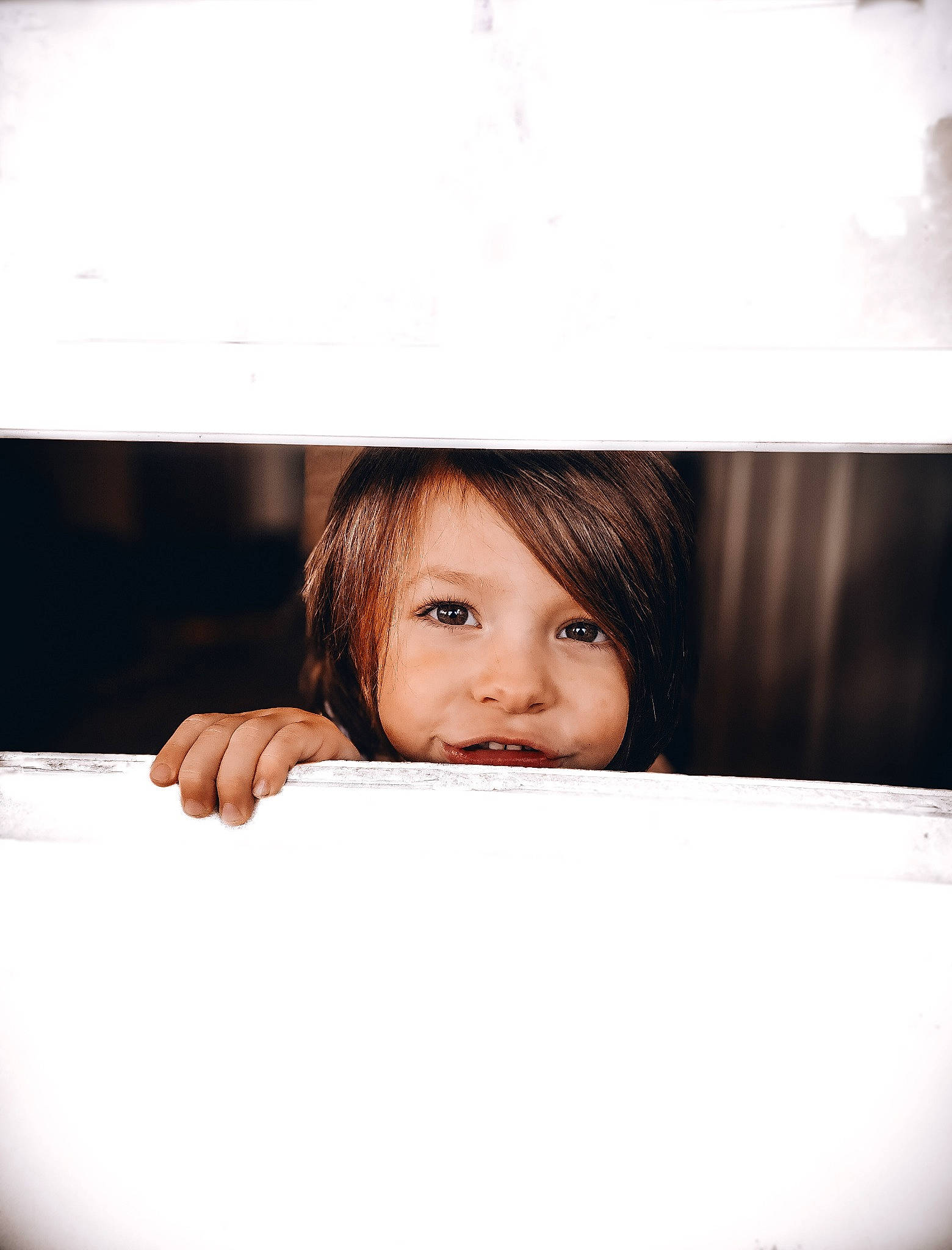 Ace joined the competition — help win amazing prizes! automotive_design, child, comfort, eyelash, flash_photography, happy, iris, linens, luxury_vehicle, person, portrait, portrait_photography, room, sitting, stock_photography, table, tints_and_shades, toddler, wood