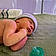 Ryker