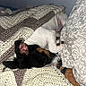 Merlin joined the competition — help win amazing prizes! dogs, puppies, sleeping, relaxed, cuddling, blanket, crochet, bed, cozy, indoors, black_and_white_dog, brown_markings, short_hair, pet, resting, snuggling, pillow, bedding, cute, portrait
