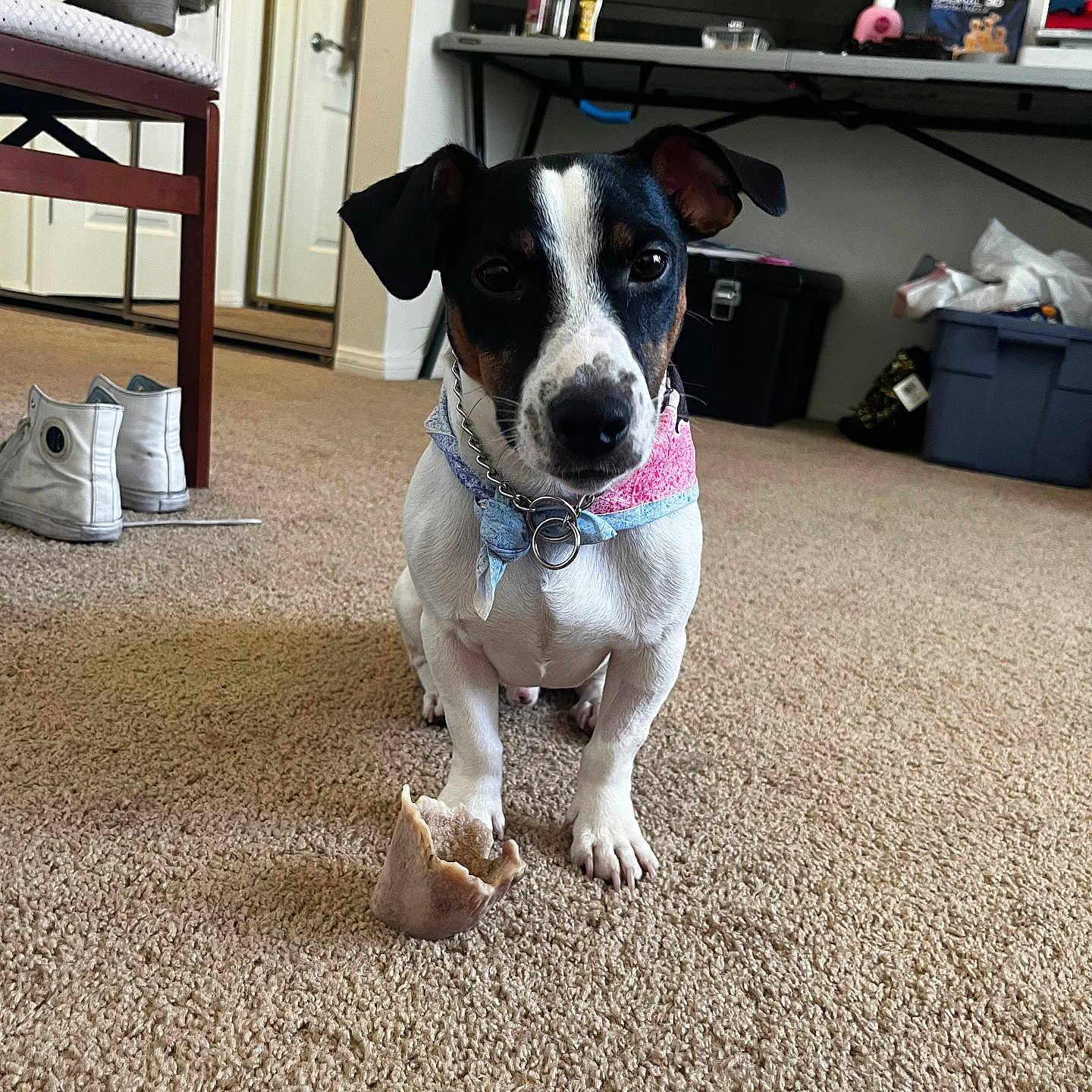 Merlin